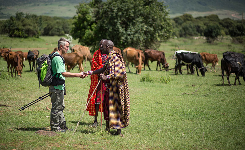 Um homem branco apertando a mão de um homem Maasai em um campo aberto. O homem branco usa roupas ocidentais modernas. O homem Maasai usa uma túnica longa estampada. Atrás do homem Maasai apertando a mão está outro homem Maasai com uma túnica vermelha brilhante. Todos os três homens parecem confortáveis e amigáveis. O gado está pastando atrás deles.