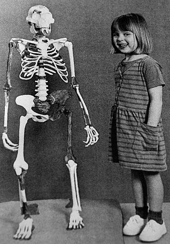 Jovem em pé ao lado de um esqueleto que é um pouco mais alto do que ela. Os braços, dedos das mãos e dos pés do esqueleto são todos muito mais longos do que os de um ser humano.