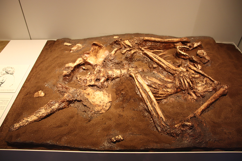 Reconstruction d'os enfouis dans de la terre.