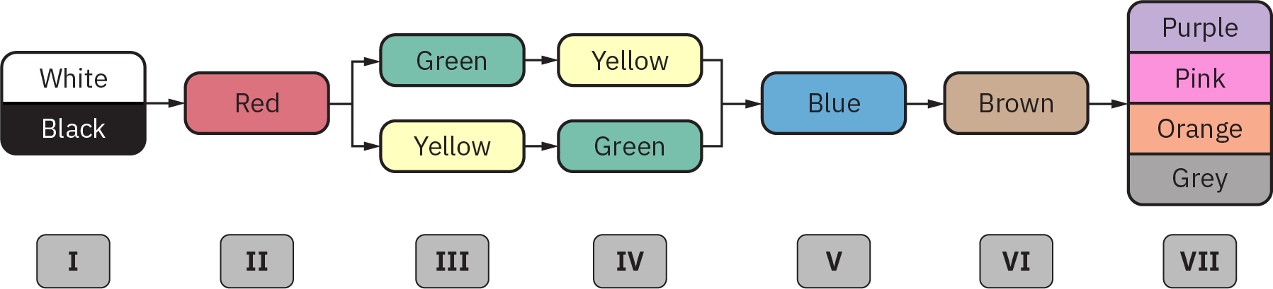 Um diagrama representando o seguinte: no Estágio 1, marcadores para “Branco” e “Preto”; no Estágio 2, um marcador para “Vermelho”; no Estágio 3, marcadores para “Verde” e “Amarelo”; no Estágio 4, marcadores para “Amarelo” e “Verde”; no Estágio 5, “Azul”; no Estágio 6, “Marrom”; e no Estágio 7, “Roxo”, “Rosa”, “Rosa” Laranja” e “Cinza”.
