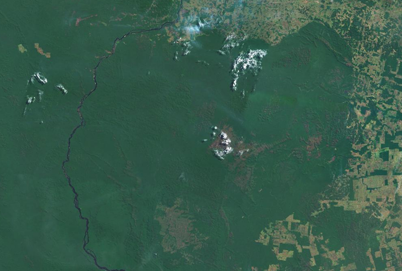 An ariel image of an area of the Amazon.