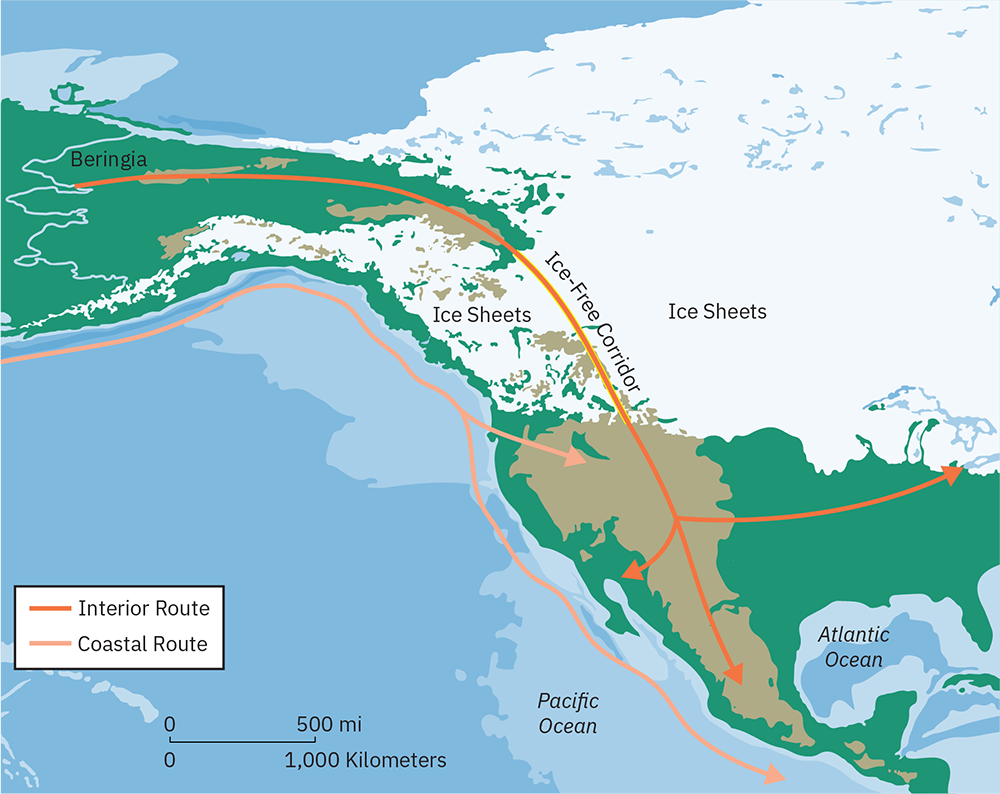 一幅描绘北美的地图，其中一块地名为白令亚，连接北美北部和俄罗斯。 北美上三分之二的地区被冰盖覆盖。 地图上画了两条线。1) 标有 “Interior Route” 的线从标有 Beringia 的区域开始，一直延伸到北美西部。 在现在的犹他州的大致位置，这条线向三个不同的方向分支：一个向东延伸至五大湖，一个向南延伸到墨西哥，另一个向西转向到现在的加利福尼亚海岸。2) 标有 “沿海移民路线” 的线始于地下的海洋Beringia 向东和向南移动，追踪北美海岸。 这条线围绕着现在的俄勒冈州分叉，其中一个分支向东转向北美内地，另一个分支继续沿海岸延伸到墨西哥。