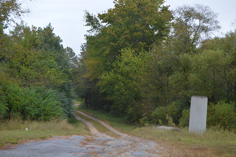 Fotografia colorida de uma estrada não pavimentada que leva a uma área arborizada verde e arborizada. Um grande marcador de pedra retangular fica em uma área gramada à direita da estrada.