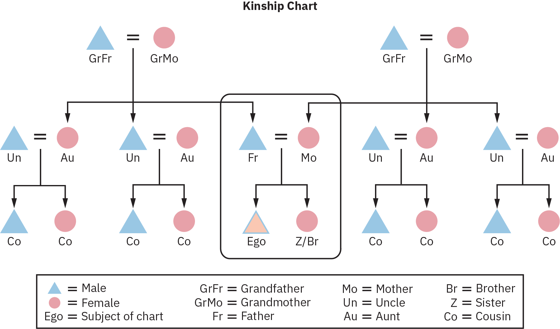 A generic kinship chart of three generations, starting from two sets of grandparents, as grandfather and grandmother respectively, their children, their respective wives, children, and a union of the male child of one family with the female child of the other family, who in turn produce the subject of the chart and a brother or sister.