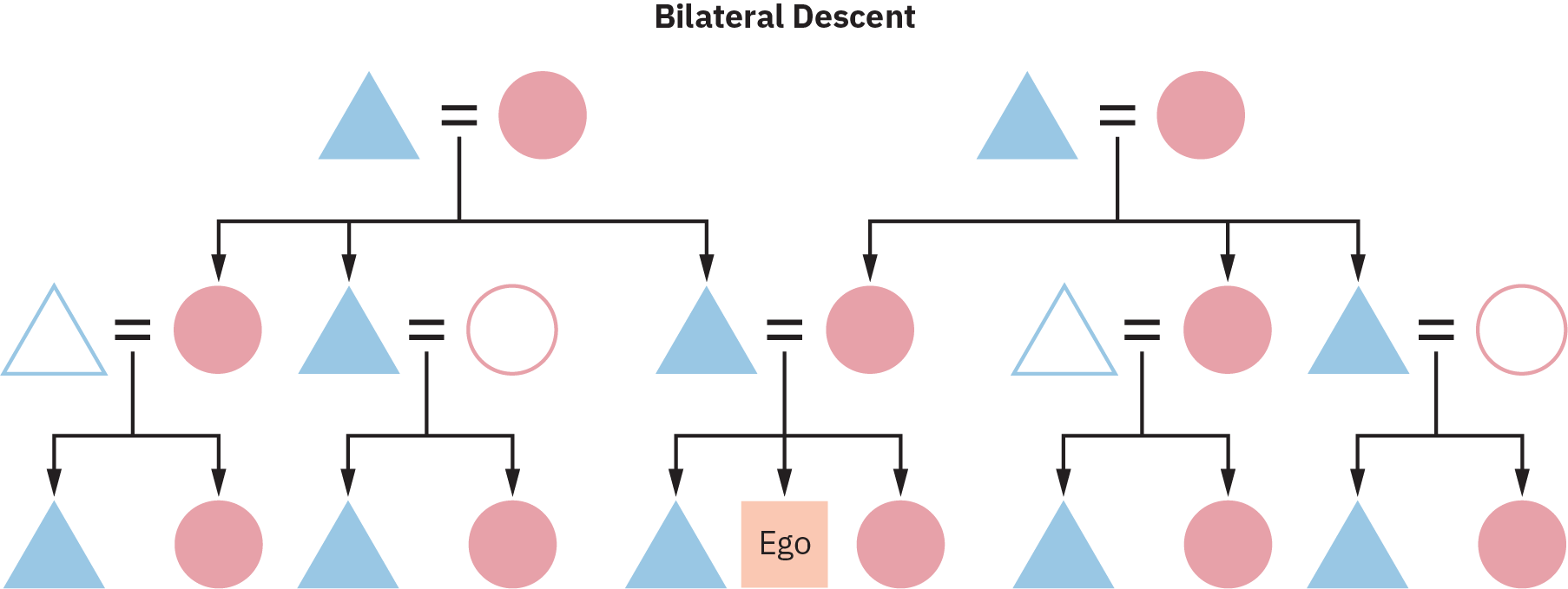 Um gráfico de descendência bilateral de várias gerações. Todos os filhos neste gráfico traçam sua linhagem por meio da mãe e do pai.