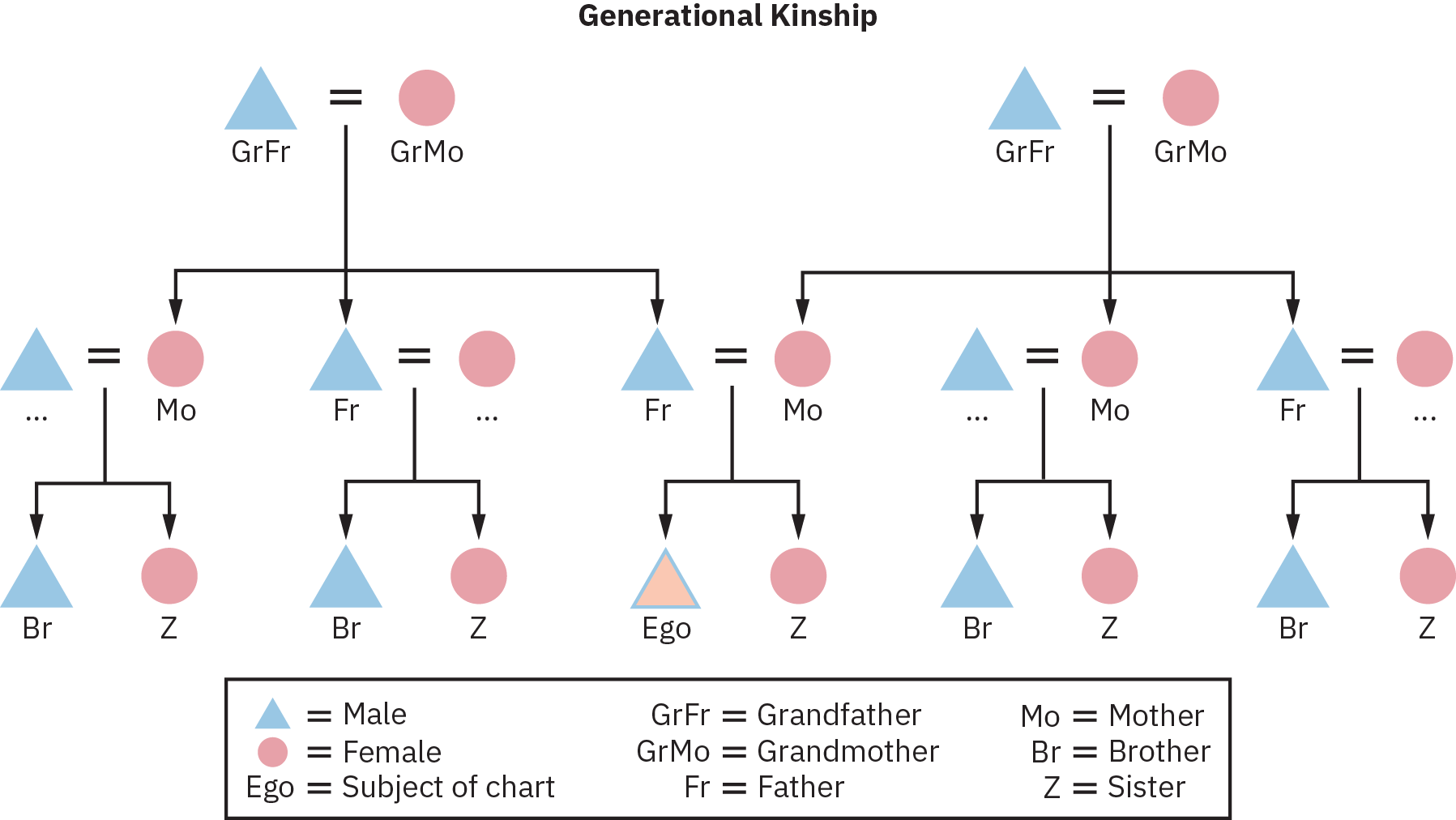 Um gráfico de parentesco geracional de três gerações, partindo de dois conjuntos de avós, como avô e avó, respectivamente, seus filhos, incluindo pai e mãe, e seus filhos sendo designados como irmão e irmã.