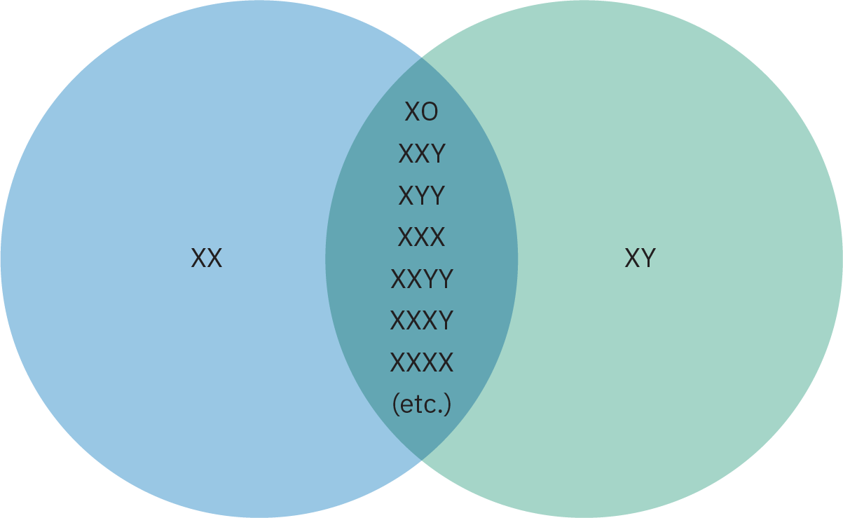 A Venn diagram. In the left circle there are two large XXs. In the right a large X and a large Y. In the center where the circles overlap are the letters XO, XXY,XYY, XXX,XXYY,XXXY,XXXX, (etc.)