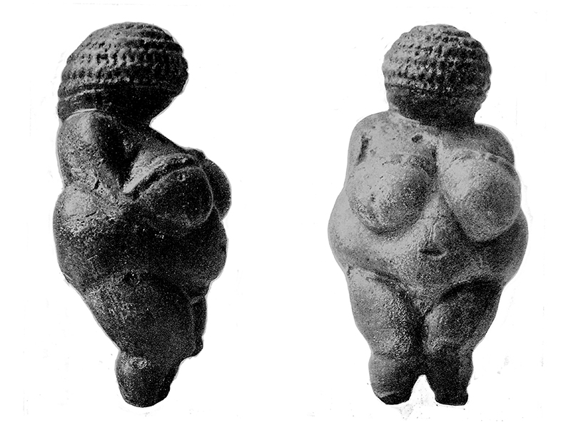 Une figurine paléolithique féminine, Vénus de Willendorf, visible de côté et de face. La statue en pierre a de gros seins et un torse rond.