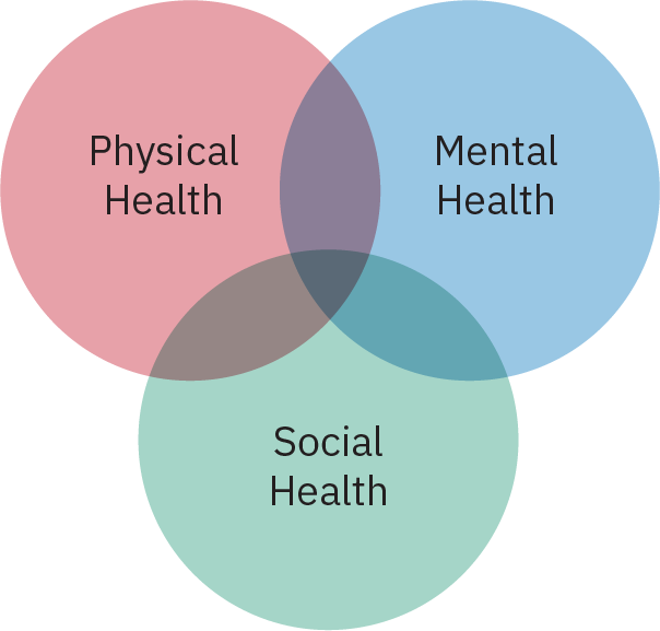 Três círculos sobrepostos, denominados Saúde Física, Saúde Mental e Saúde Social.