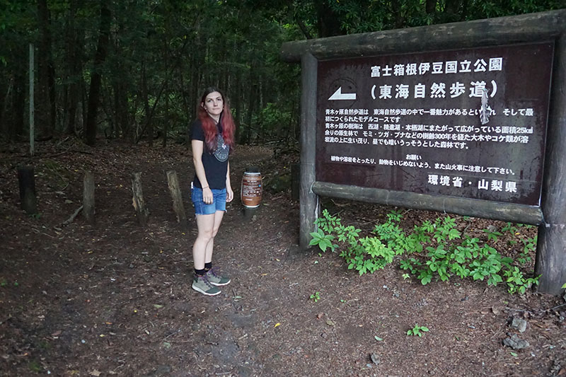 Uma placa muito grande na beira de uma floresta. A placa contém uma boa quantidade de textos escritos em japonês.
