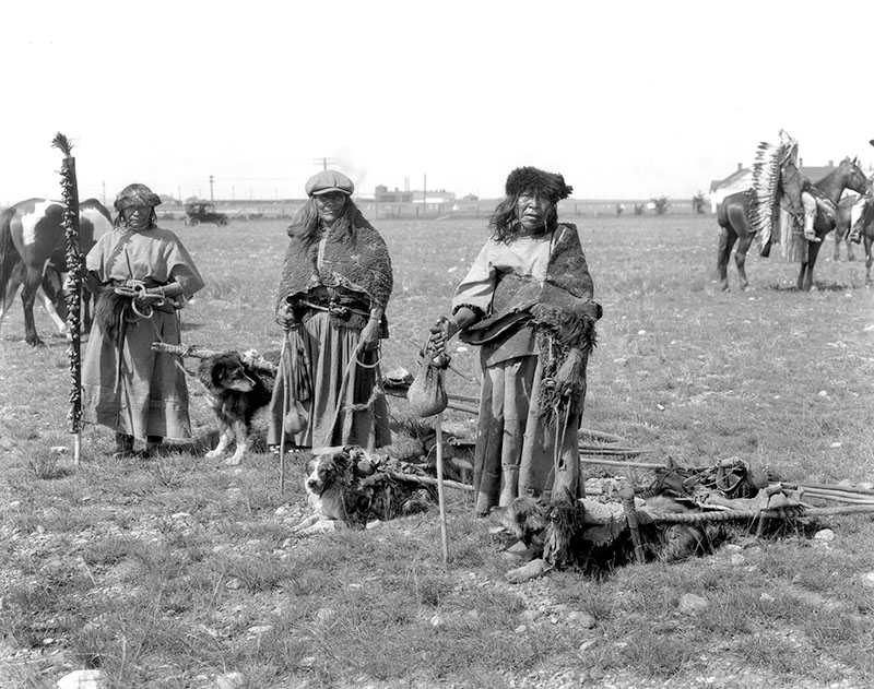 Trois femmes portant des jupes longues, des châles et des chapeaux à larges bords se tiennent à côté de leurs chiens. Les chiens ont des plateformes chargées attachées à leur dos.