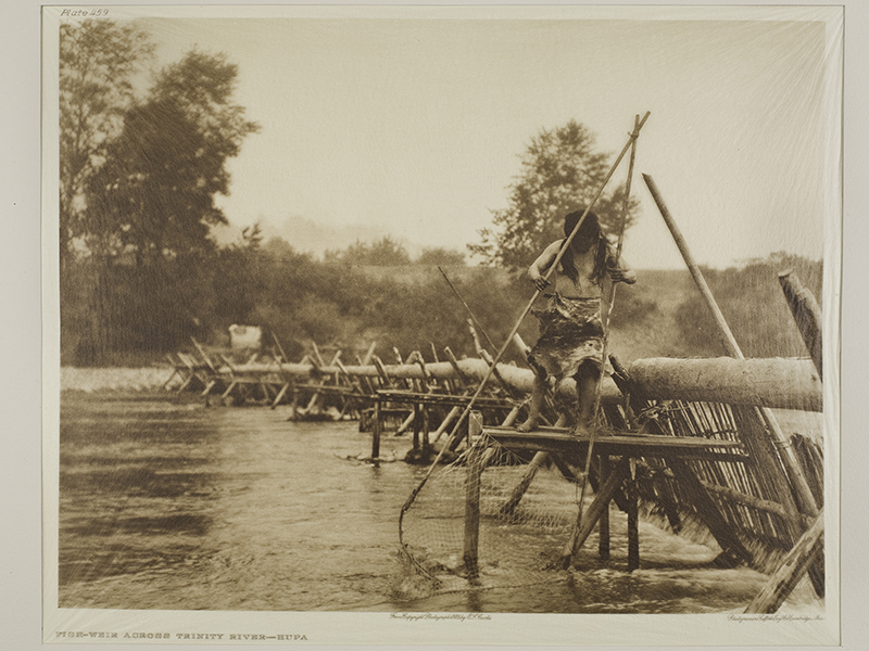 Un homme se tient debout sur une petite plate-forme en bois à côté d'un barrage fait de rondins et de bâtons. Il tient deux très longues perches séparées par un filet.