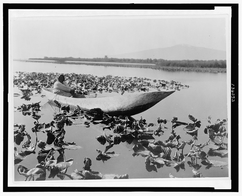 一个女人独自坐在平静的湖上的独木舟上，穿过一片睡莲。