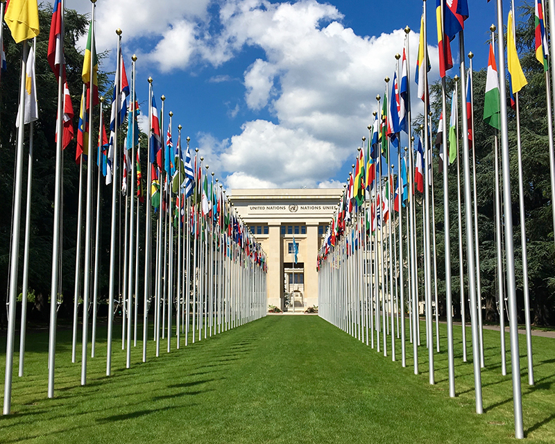 Duas fileiras de bandeiras de diferentes nações, com um corredor de grama entre elas, levando à entrada de um grande edifício de pedra com duas colunas visíveis na frente.