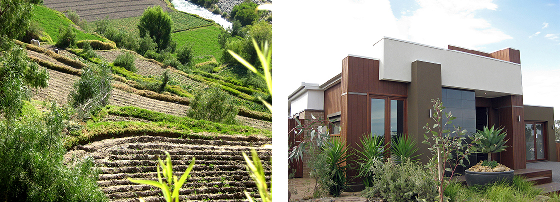 Left: A hillside field with the earth shaped into many narrow terraces, which appear to be planted with some type of young plants. Shrubs and trees grow between the terraced fields; Right: An angular, modern-looking house with large windows and a flat roof. Yucca plants and other desert species grow in the yard.