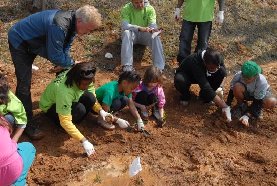Adults guiding girl scouts as they dig holes for plants. 