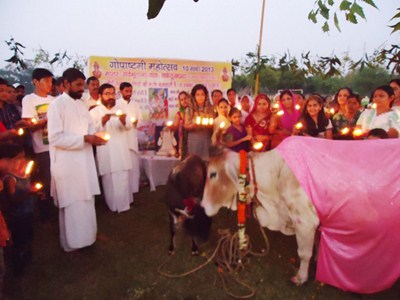 Ceremonia cultural de vacas