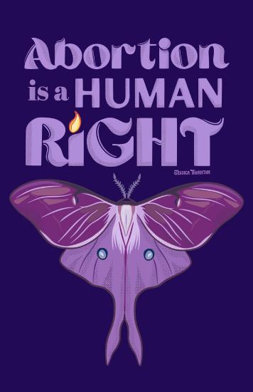 Abortion is a Human Right poster - the color is purple and there is an image of a moth