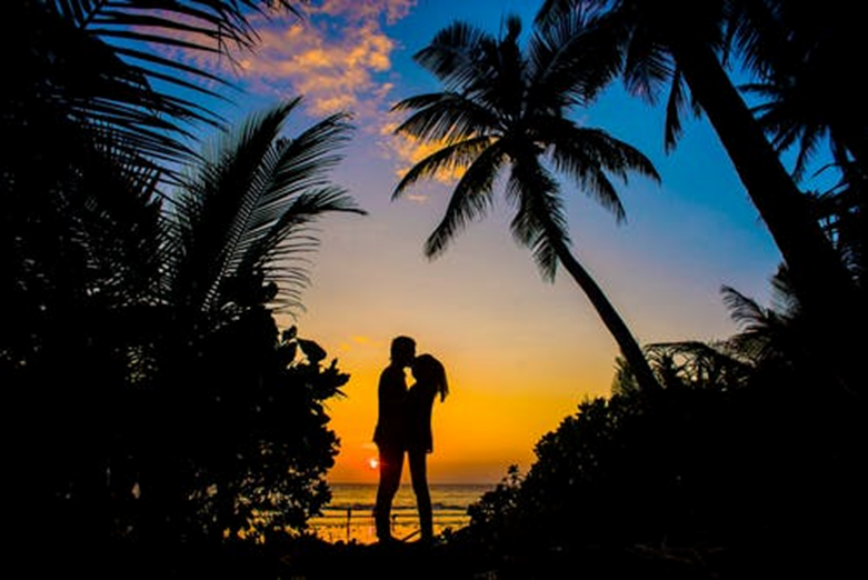 Man and woman standing and hugging in front of the setting sun in a tropical bower