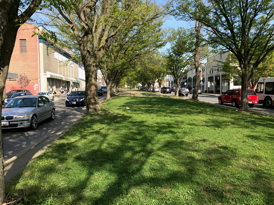 Tree lined street with a grass center