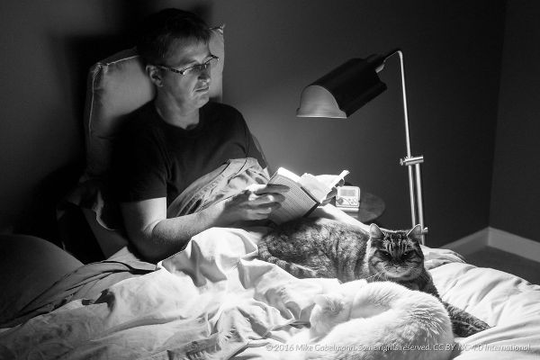 A man is sitting up in bed reading under a night lamp with his cat in his lap.