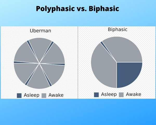 Circles showing the sleep times for biphasic vs. polyphasic sleep. They look like pie charts. For biphasic the sleep is two times and for polyphasic the sleep is six times. Each sleep period is represented like a slice in the pie.