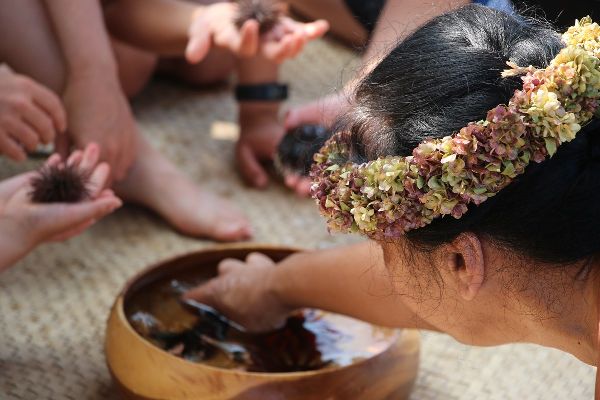 Native Hawaiians learning about sea urchins that are placed in a wooden bowl filled with water.