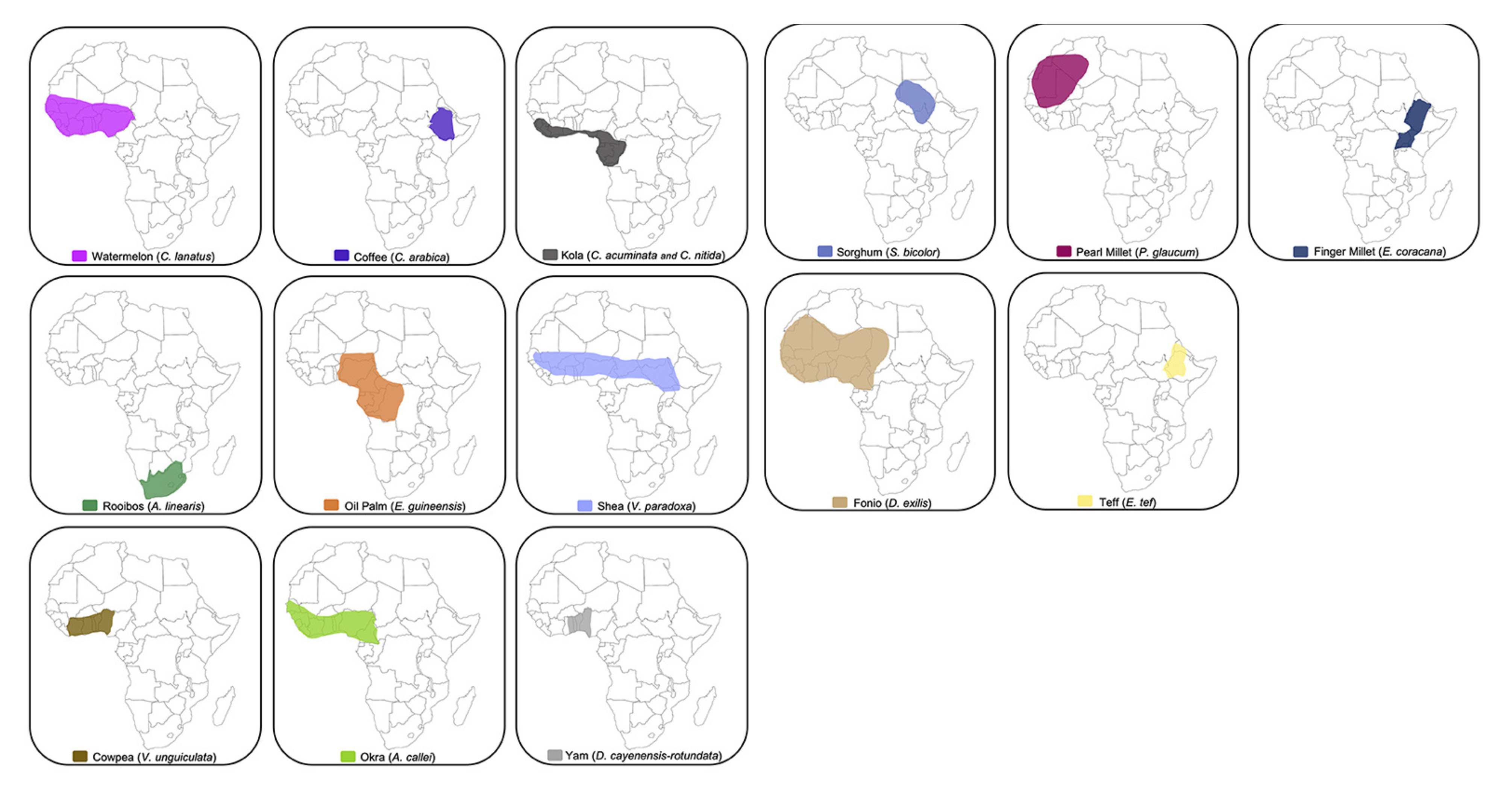 Fourteen maps showing crop origin locations in Africa