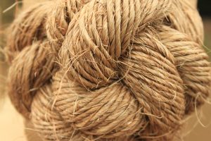 Flickr-Mike-Finn-Knotted-rope-300x200.jpg