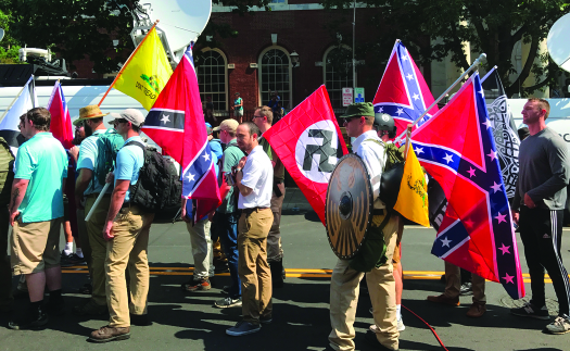 一张照片显示一群人举着同盟国旗帜和纳粹旗帜