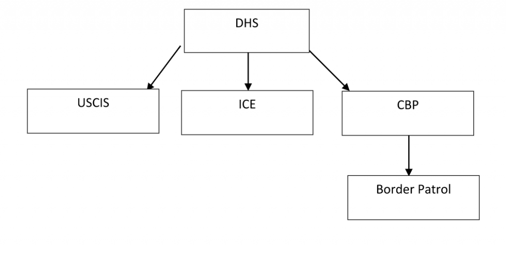 Organisations fédérales d'immigration. Patrouille frontalière du DHS USCIS ICE CBP