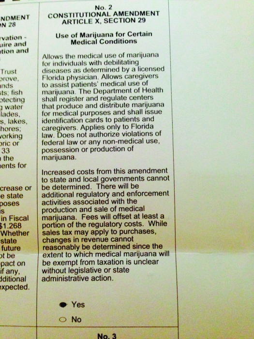 صورة لورقة اقتراع مكتوب عليها «التعديل الدستوري رقم 2، المادة العاشرة، القسم 29. استخدام الماريجوانا لبعض الحالات الطبية.»