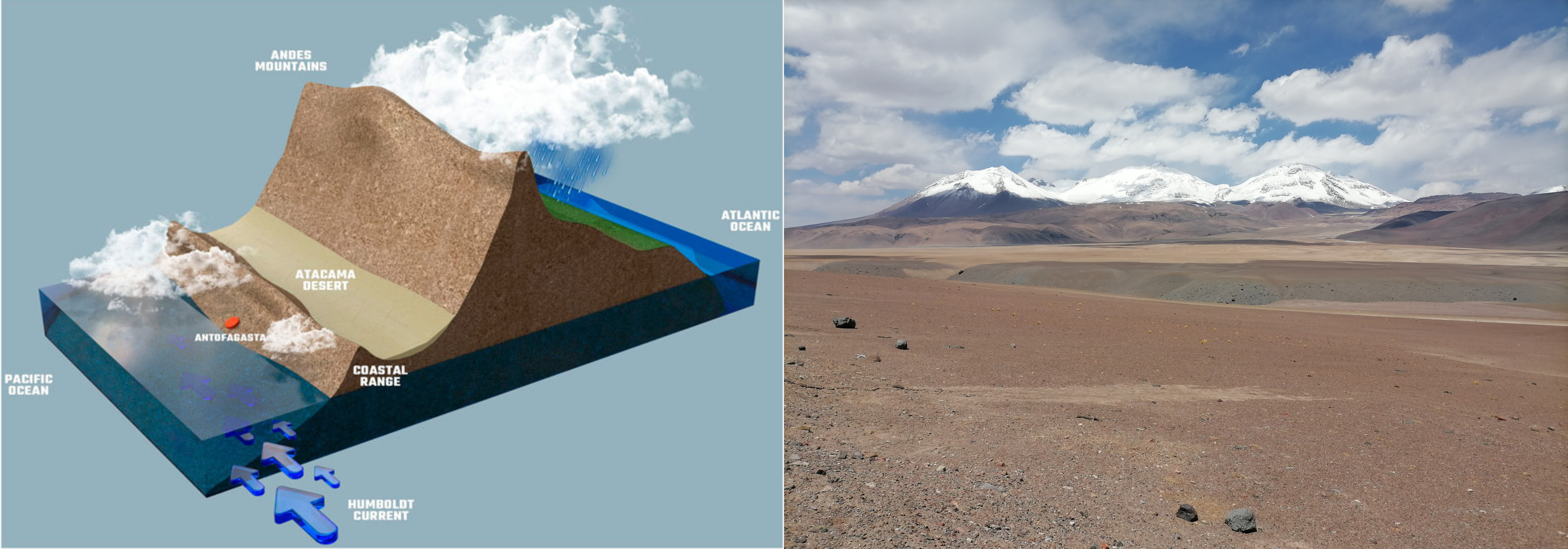 Relationship of the Andes, Atacama Desert, and Humboldt Current; dry landscape with snow-capped mountains in distance