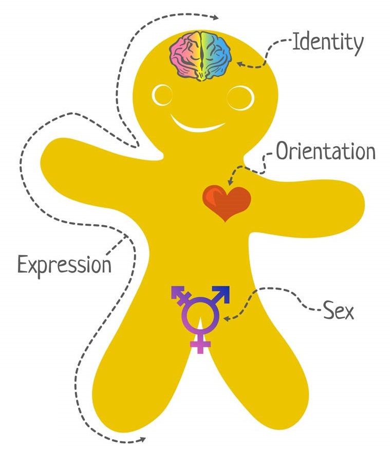 5: Gender Identity, Gender Roles, and Gender Differences
