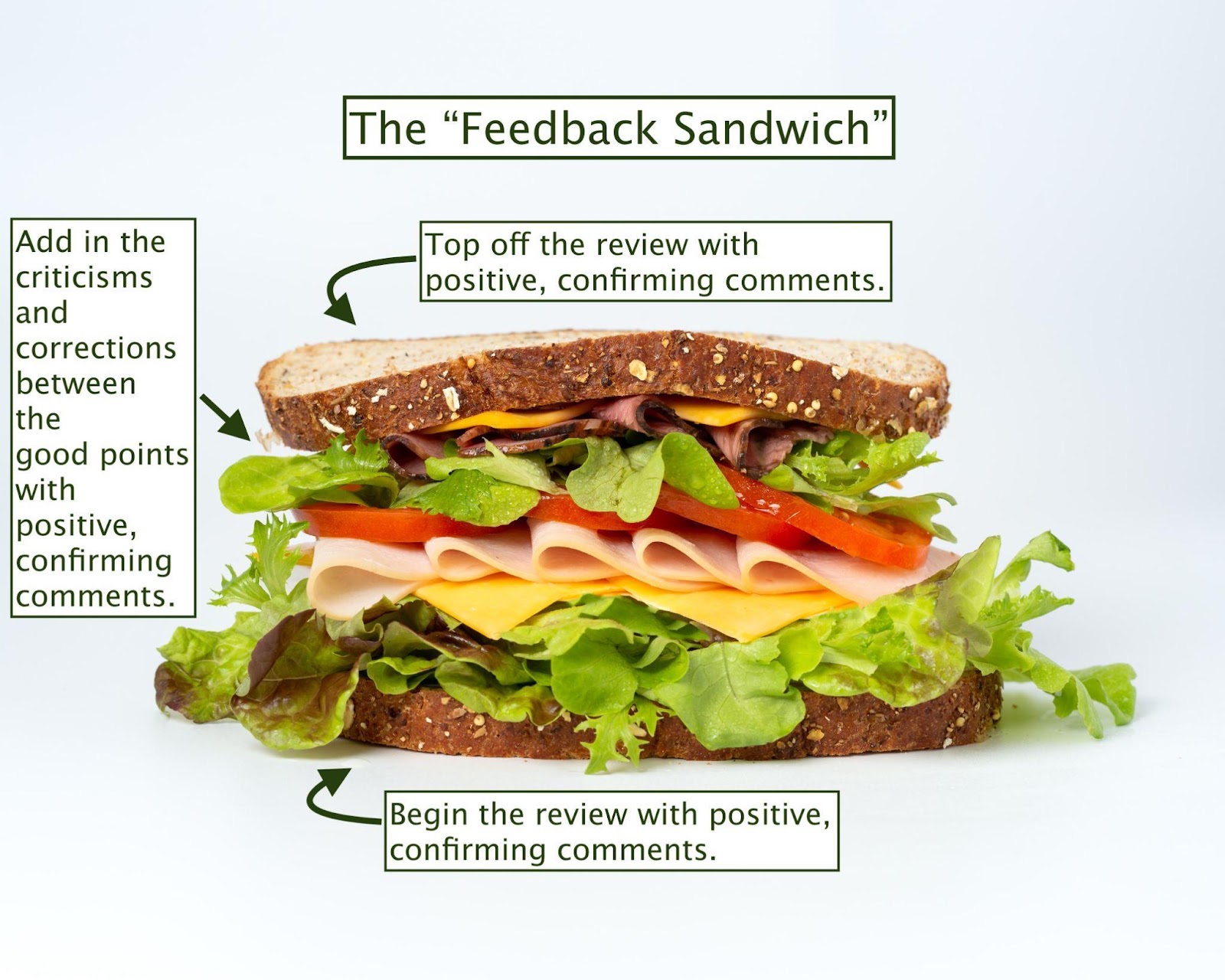A sandwich showing how to provide feedback by sandwichin” criticisms and corrections between confirming comments.