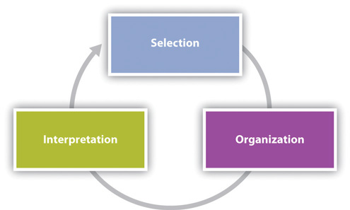 This circular figure is split up into three pie slices labeled: "Selection," "Organization," and "Interpretation" in clockwise order.  