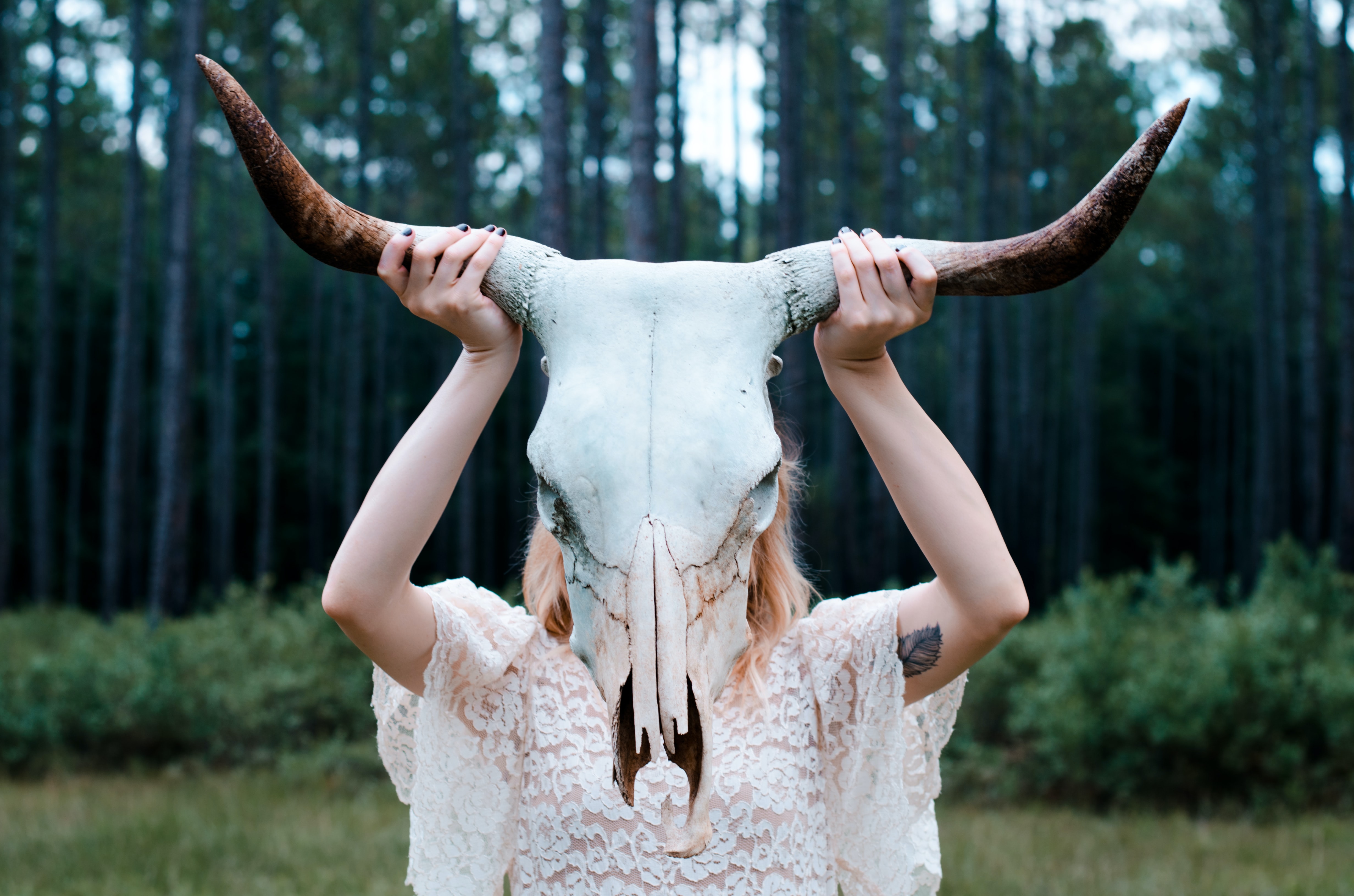 A woman dressed in white, standing in the woods and holding a skull of a cow with large horns