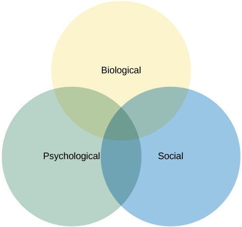 中间有三个圆圈重叠。 这些圈子被标记为 “生物”、“心理” 和 “社交”。