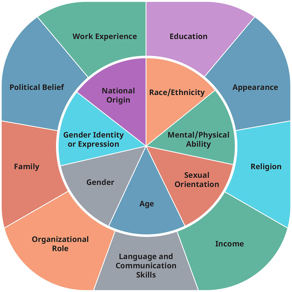 A diagram illustrates the intersectionality wheel divided into two circles one inside the other. In the outer circle in no particular order are political belief, education, religion, language and communication skills, family, and role. On the inner circle are national origin, race and ethnicity, sexual orientation, gender, gender identity or expression, age, and mental/physical ability.