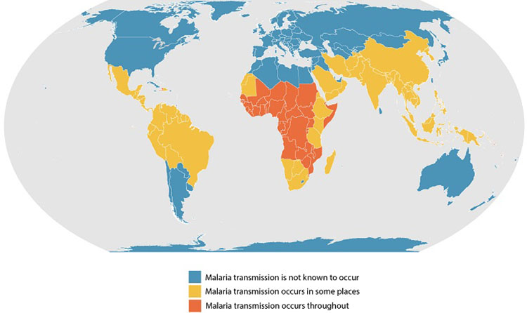 A map highlighting countries where malaria is known to occur is shown. Malaria transmission is not known to occur in the northern parts of the Northern hemisphere and the southern parts of the Southern hemisphere, both considered temperate or colder zones. Malaria transmission occurs in some places in countries closer to the equator, including Mexico, Peru, Brazil, Belize, Colombia, Mauritius, Ethiopia, Saudi Arabia, Oman, India, China, Korea, Japan, and Indonesia. Malaria transmission occurs throughout countries in large portions of Africa, including Niger, Chad, Nigeria, Botswana, Democratic Republic of Congo, Angola, and Zimbabwe.