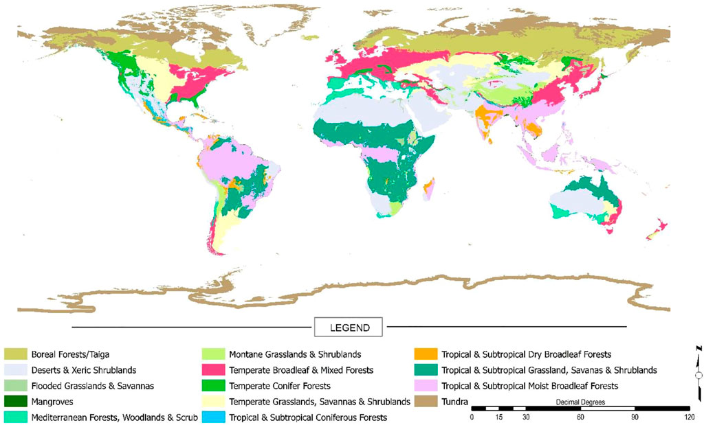 Fourteen different biomes show a latitudinal correlation influenced by land-water contrasts