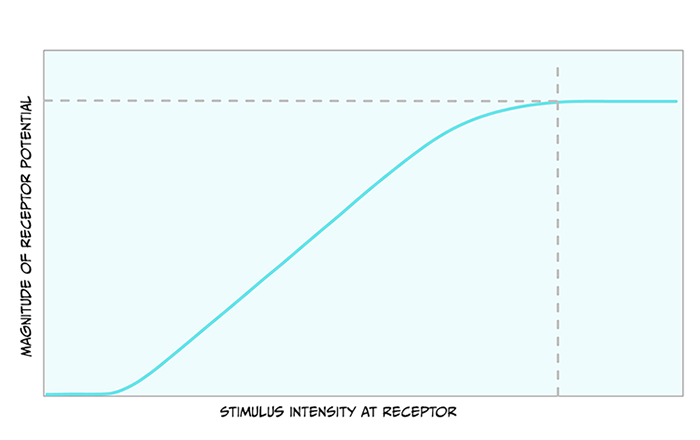 Fig-4.3-Stimulus-Intensity.png