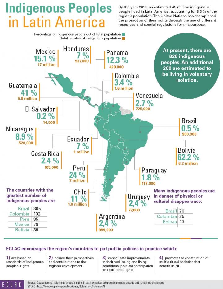 A graph depicting Latin America with the proportion of the Indigenous population in each country. Details in text