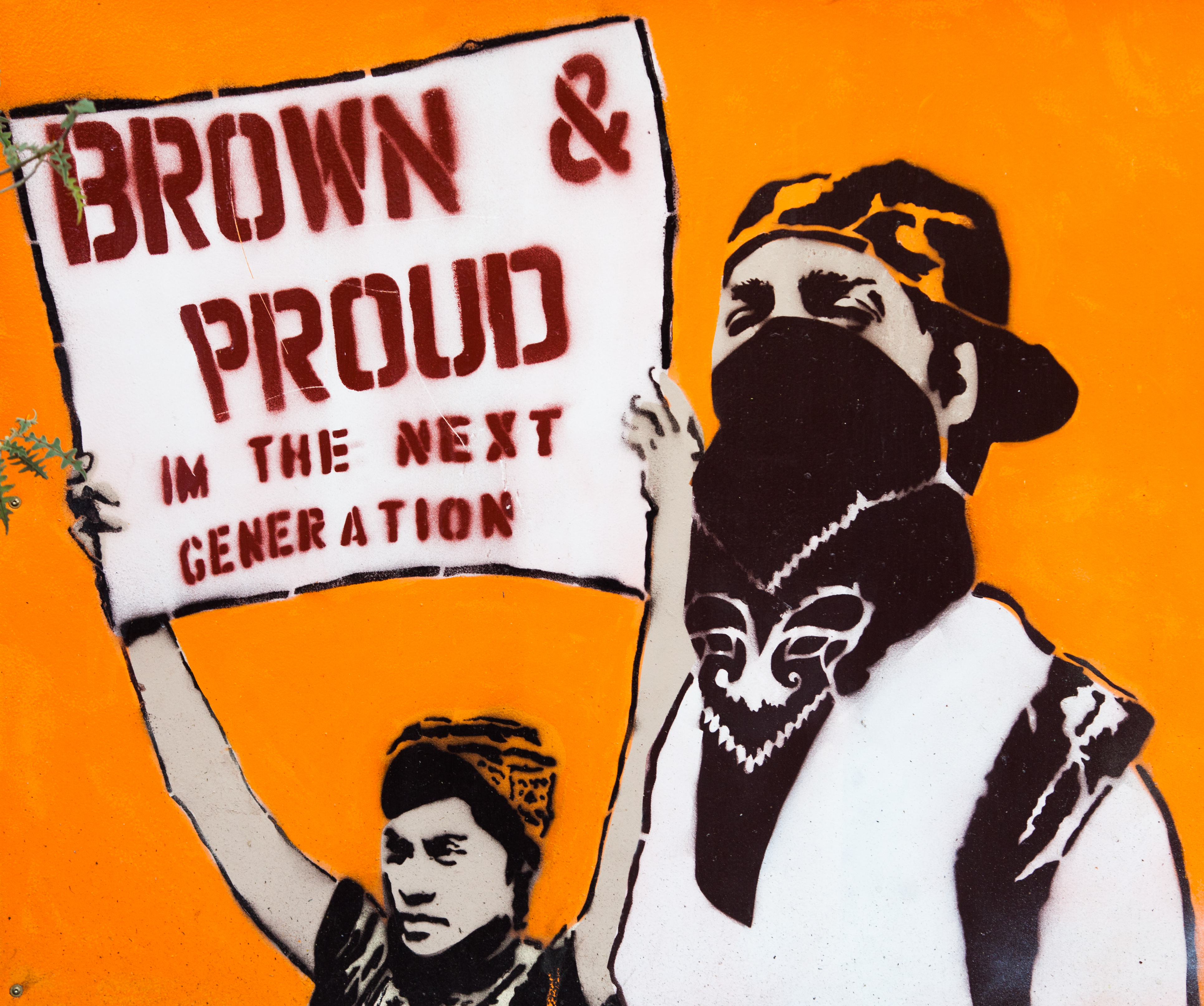 A young man with his hat turned backward and his face masked by a bandana stands next to a young woman holding a sign that reads, Brown and Proud, I’m the Next Generation. 