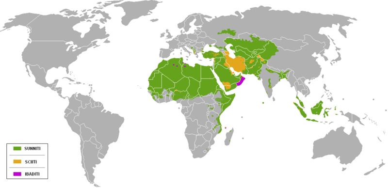 Distribution of Sunni and Shi'a populations in the world