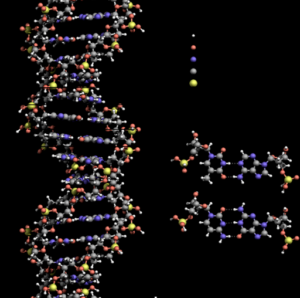 dna-300x298.png