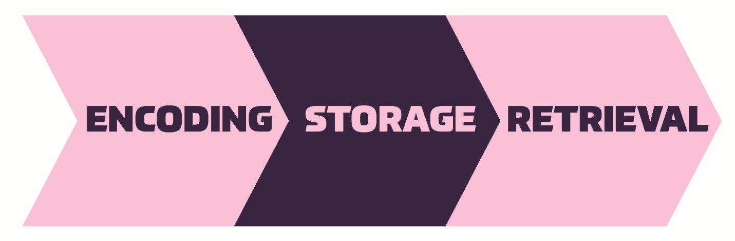 10.9: Memory - Social Sci LibreTexts