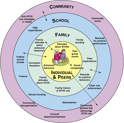 Four concentric circles 2 kids in center with individuals and peers, family, School, and Community around them