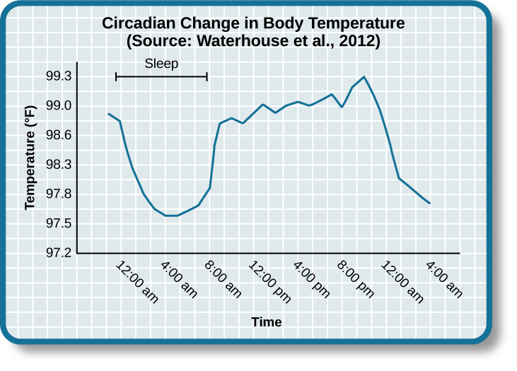 Una gráfica lineal se titula “Cambio circadiano en la temperatura corporal (Fuente: Waterhouse et al., 2012)”. El eje y, está etiquetado como “temperatura (grados Fahrenheit)”, oscila entre 97.2 y 99.3. El eje x, que está etiquetado como “tiempo”, comienza a las 12:00 a.m. y termina a las 4:00 a.m. del día siguiente. Los sujetos durmieron desde las 12:00 a.m. hasta las 8:00 a.m., tiempo durante el cual su temperatura corporal promedio bajó de alrededor de 98.8 grados a la medianoche a 97.6 grados a las 4:00 a.m. y luego gradualmente volvieron a subir a casi la misma temperatura inicial a las 8:00 a.m. La temperatura corporal promedio fluctuó ligeramente durante todo el día con una inclinación ascendente, hasta el siguiente ciclo de sueño donde la temperatura volvió a bajar.