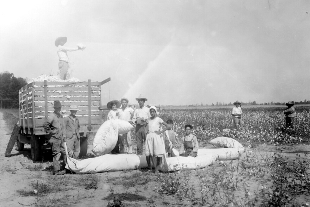 Picture of Mexican Workers on a farm in the 1930's